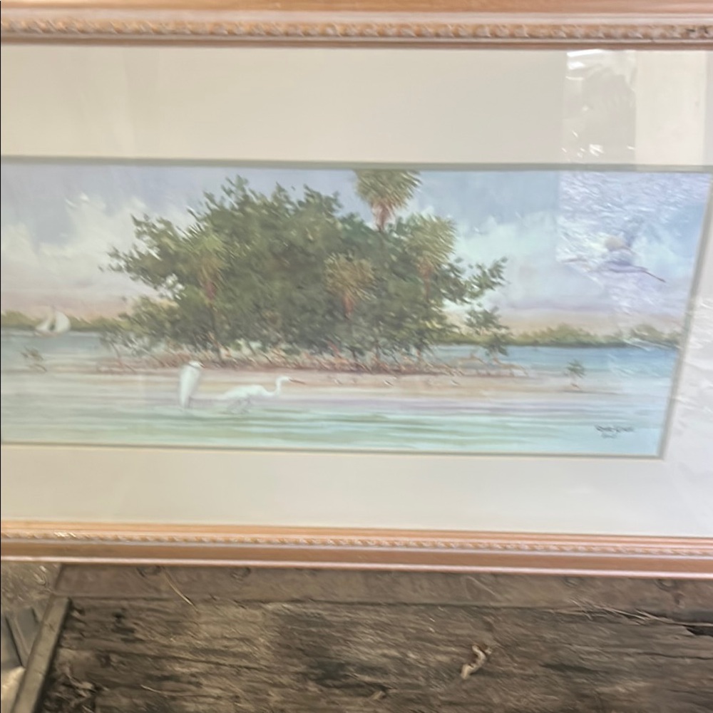 Framed Island Landscape Painting